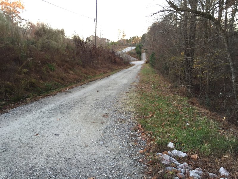 Final leg of South Turkey Creek trail after finishing Turkey Creek / Cedar Ridge loop run.