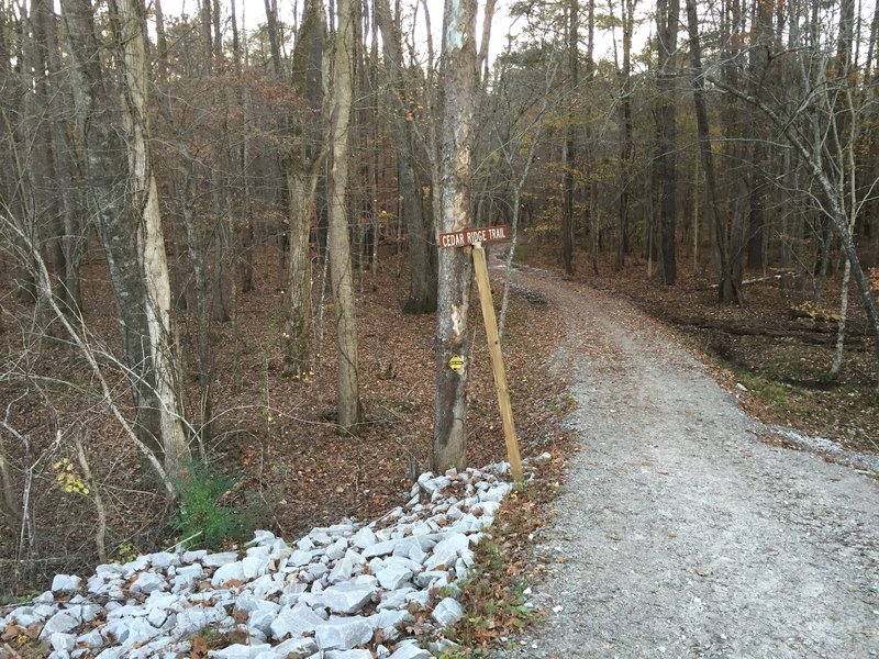 Beginning of Cedar Ridge Trail from Ebenezer Church Road Bridge gate entrance.