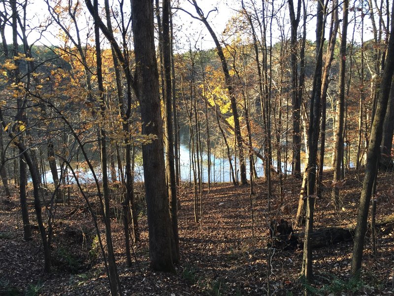 Reedy Creek Lake, seen from Reedy Creek Multiuse Trail in Umstead State Park.