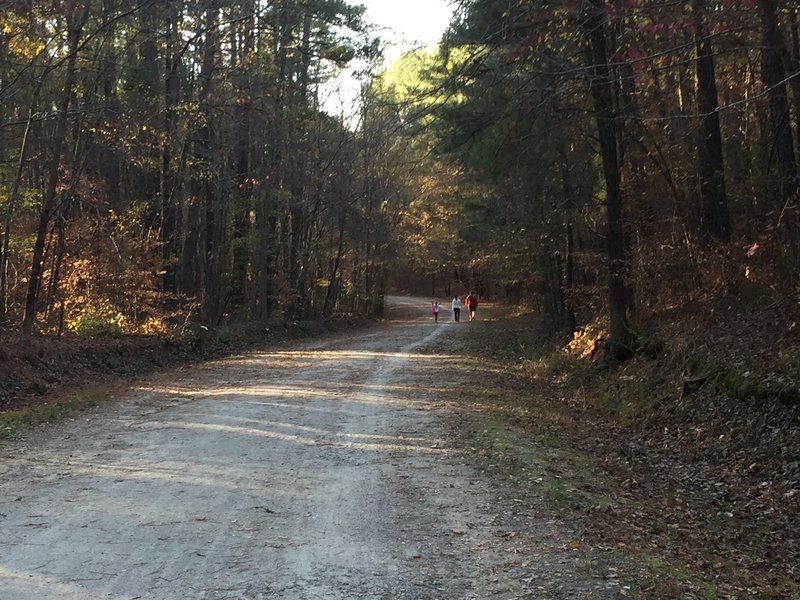 Reedy Creek Multiuse Trail in Umstead State Park.