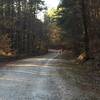 Reedy Creek Multiuse Trail in Umstead State Park.