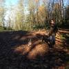 A woman with her dog starts down lower Saltzman Road at its intersection with the Leif Erikson. The area hosts a picnic table and is a popular place to take a break. There is also a scenic overlook of the Willamette.