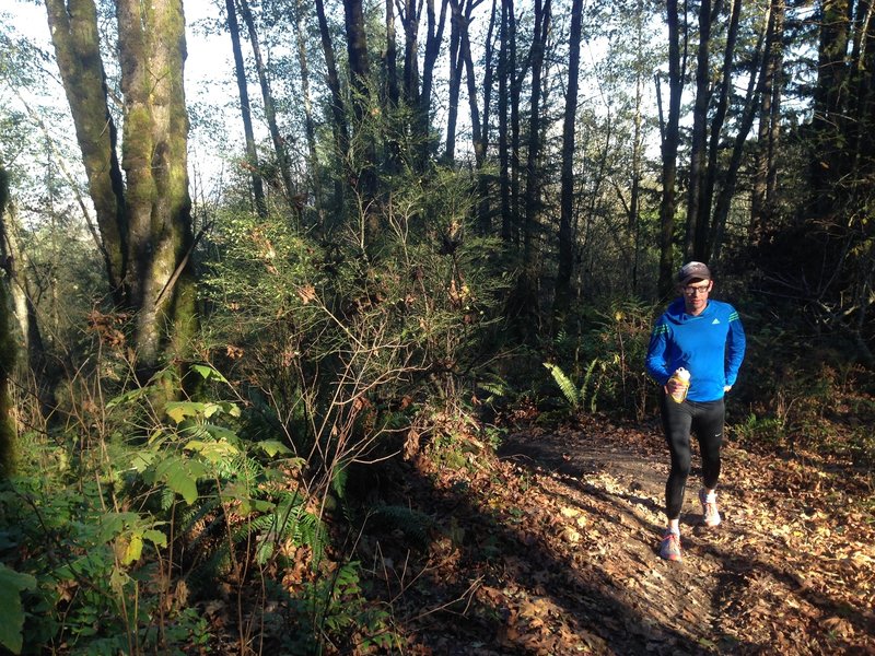 A runner makes his way up the lower end of Fore Lane 5, just below the Wildwood Trail.