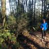 A runner makes his way up the lower end of Fore Lane 5, just below the Wildwood Trail.