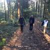 Three hikers out for a fall afternoon on the upper section of Fire Lane 5.