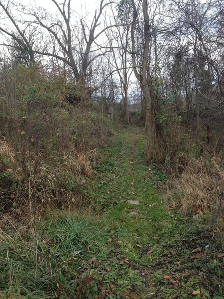 About to descend down the hill of Glendale Trail.