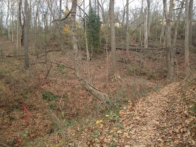Winding through neighborhood hills.
