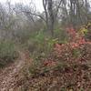 Fall colors are a highlight of this trail.