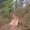 Crossing a bridge through a grove of pine trees on the Old Walnut Trail.