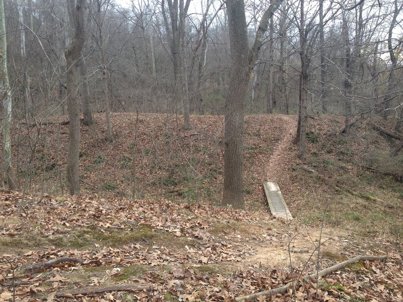 A highlight of Moon Trail- in and out of a valley then traveling to the left along a small ridge.