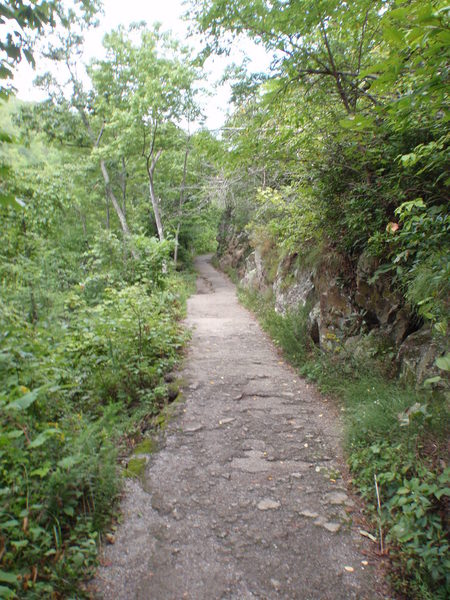Laurel Falls Hiking Trail.