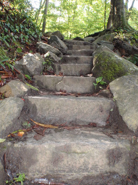 Meigs Creek Trail. Great Smoky Mountains NP.