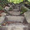 Meigs Creek Trail. Great Smoky Mountains NP.