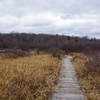 Bog boardwalk on the Moss-Hanne Trail