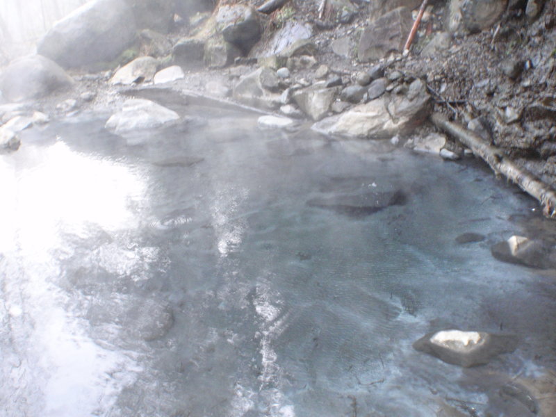 Hot Spring on Olympic Hot Springs Trail.