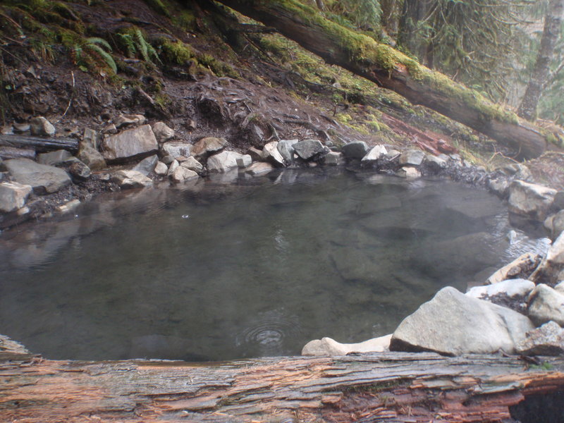 Hot Spring. Olympic Hot Springs Trail on Appleton Pass.