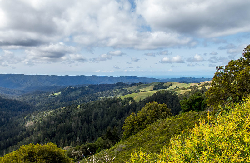 Facing west towards the Pacific Ocean