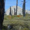 A classic Yosemite dome near the Mono Meadow Cutoff Trail.