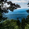 Overgrown view from Meadow Mountain