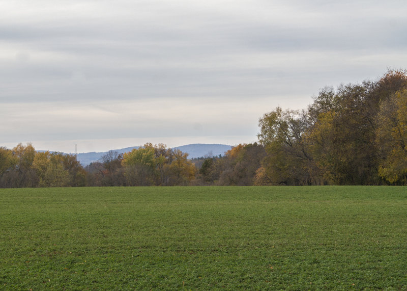 View of Catoctin Mountain.