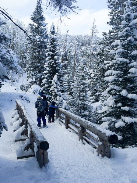 Family of snowshoers enjoying Black Friday