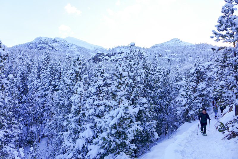 Beautiful hiking / snowshoeing trail with nice views and aspen groves.