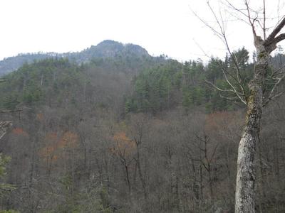 The ascent to MST via Wolf Pit Trail.