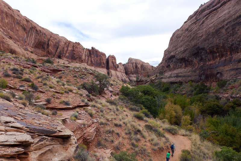 Great canyon to explore if you're looking for a short adventure.