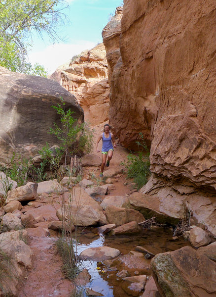 Be careful when crossing the streams, the rocks can be slippery!