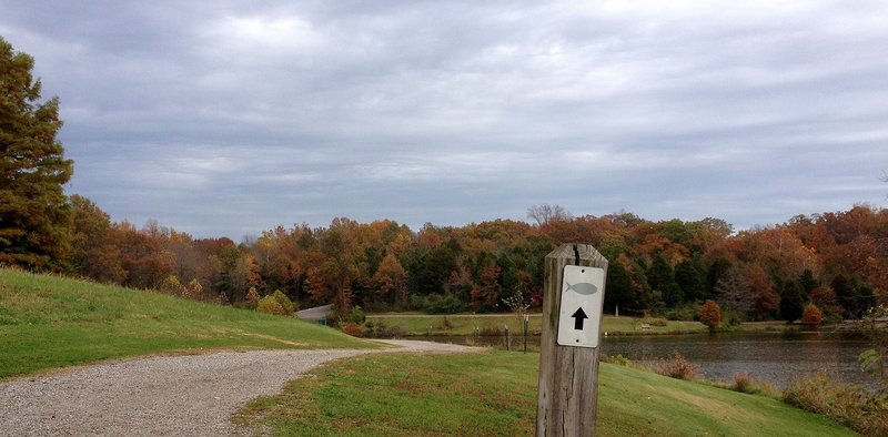 Fisherman's Trail at Bee Tree Park