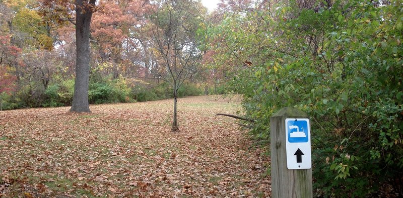 Mississippi Trail at Bee Tree Park