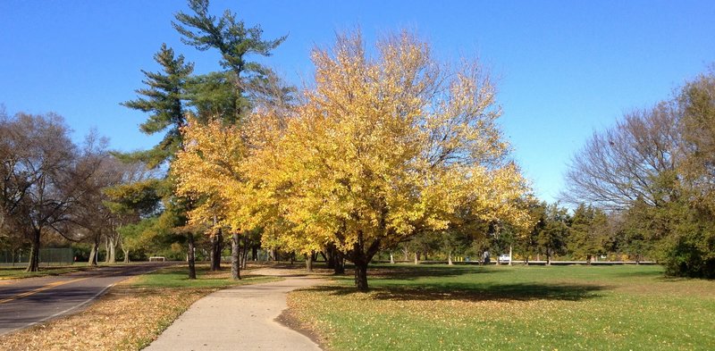 Meramec Trail at Buder Park