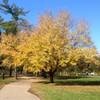 Meramec Trail at Buder Park