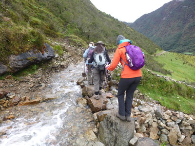 A particularly damp section of the trail.