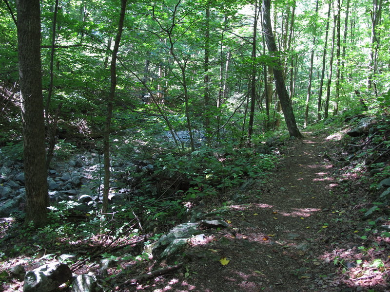 On Doyles River Trail