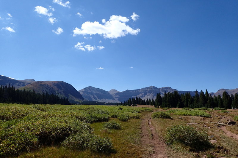 View of Henrys Fork Trail with Kings Peak in the center and the West Spur of Gilbert Peak on the left.