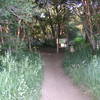 Moto-rutted trail from the North Ogden Divide TH.