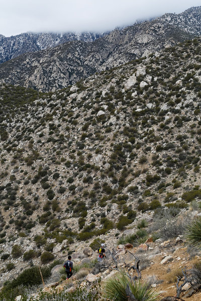 Trail runners dipping into the saddle