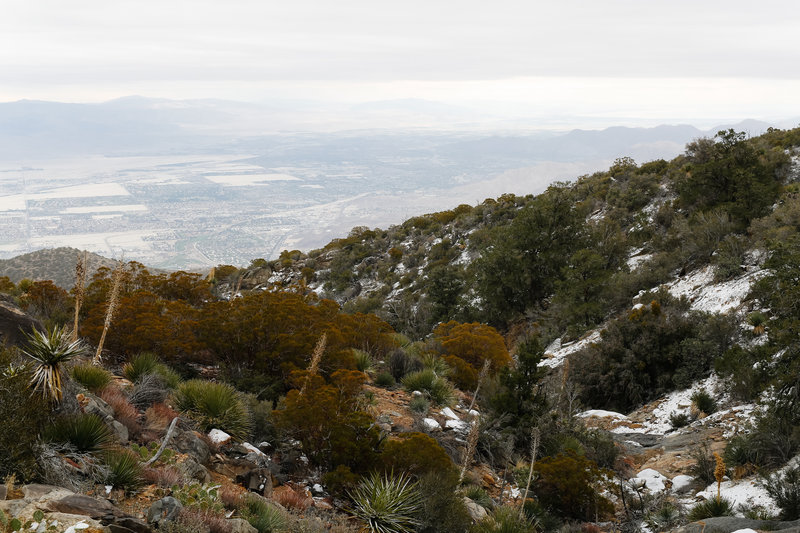 Hitting the snow line