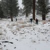 Day hikers from the bottom mingle with walkers from the tram station.