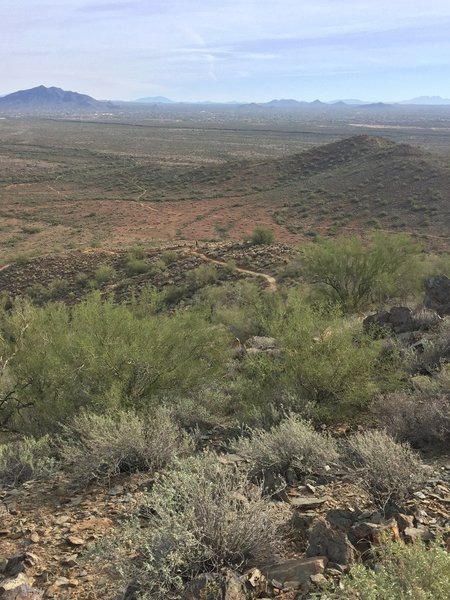 Looking down at Ridgeback Trail.