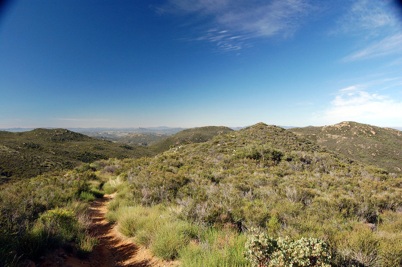 Looking south along the PCT.