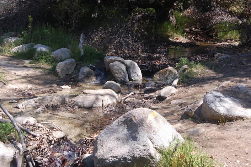 San Ysidro Creek