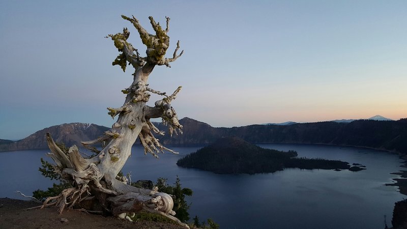 Wizard Island from the Rim Trail towards end near the north side.