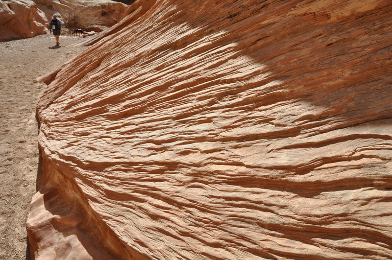 Cool canyon walls.