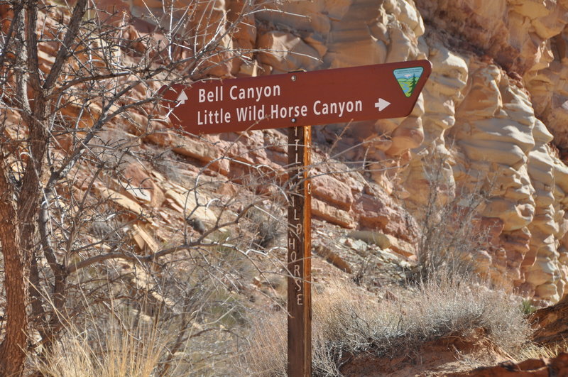 Trail sign at fork.