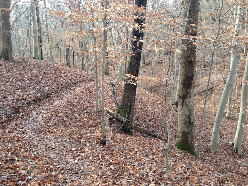 The Chimney Trail following the rolling hills.