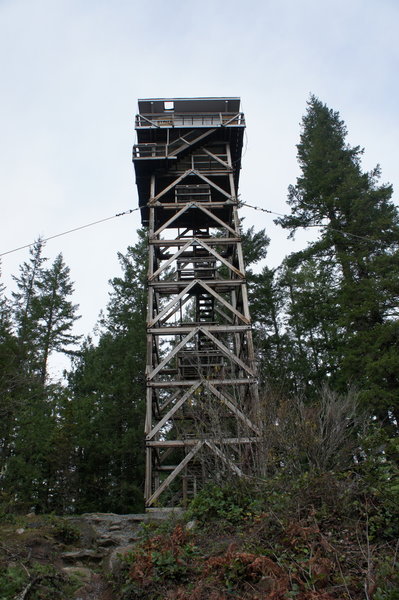 Heybrook Lookout Tower