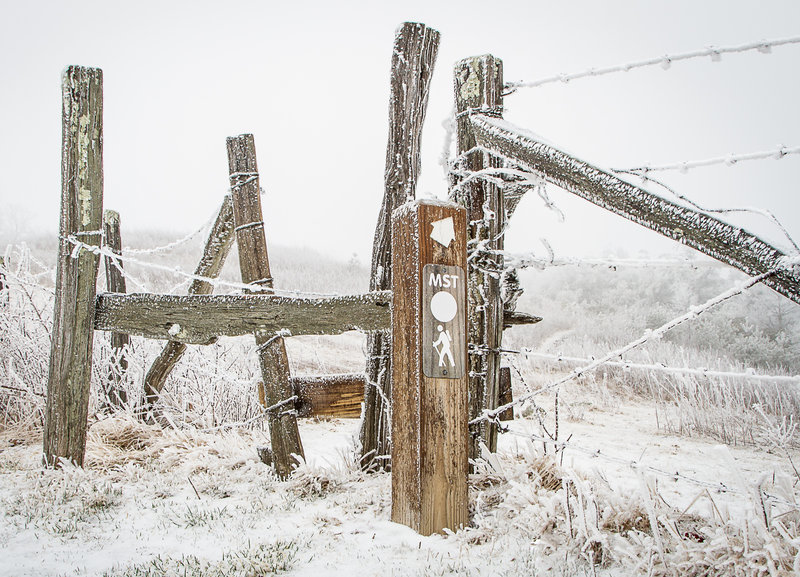 Snow Covered MST Sign. Rime ice and snow covered the entrance to the MST in March. Taken across from the Thunder Hill Overlook, the ice clung to the sign and the fence post and barbed wire.