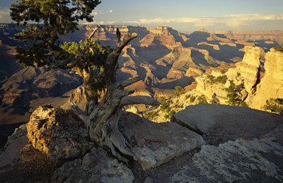 An awesome view of the Grand Canyon.